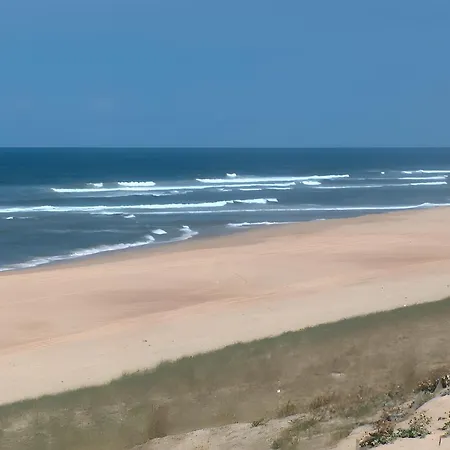 Le Du Bassin D'archachon * Gujan-Mestras