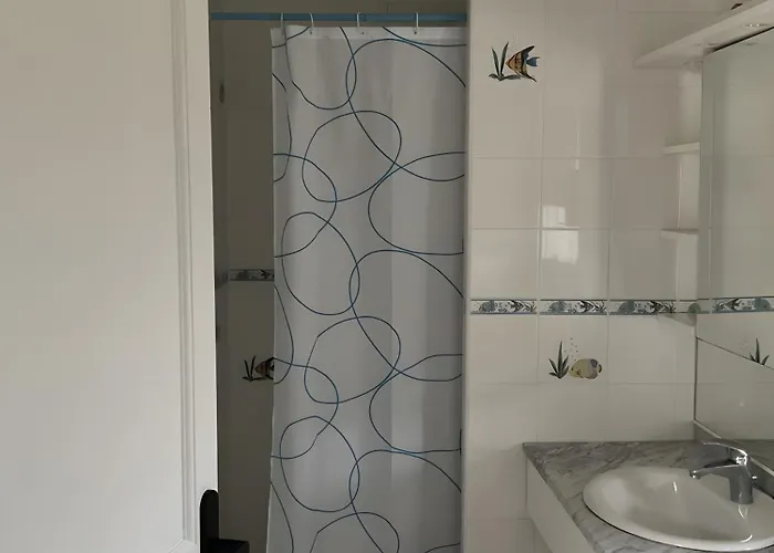 Le Du Bassin D'archachon