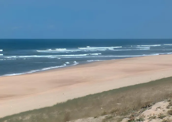 Le Du Bassin D'archachon * Gujan-Mestras